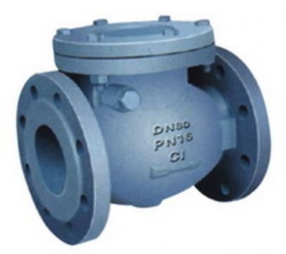 Swing Check Valve